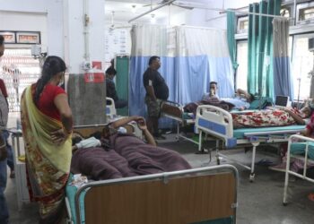 डेंगु ‘प्रकोप’ घोषणा गर्ने सरकारको तयारी