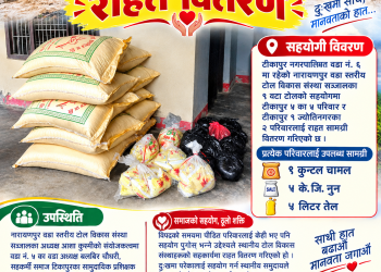 बाढी प्रभावित ७ परिवारलाई टोल विकासको राहत